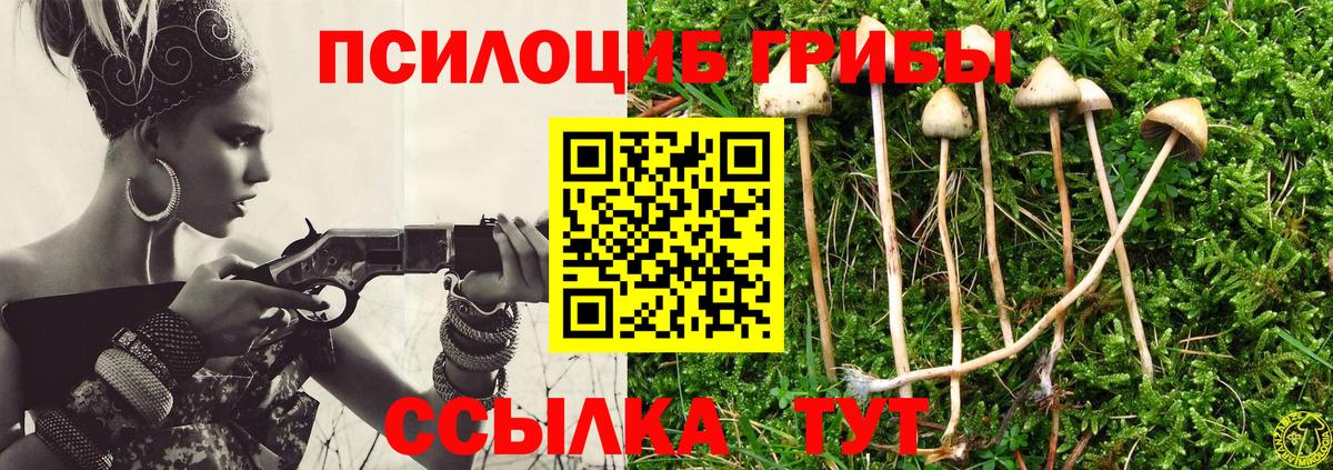 Псилоцибиновые грибы GOLDEN TEACHER Борисоглебск